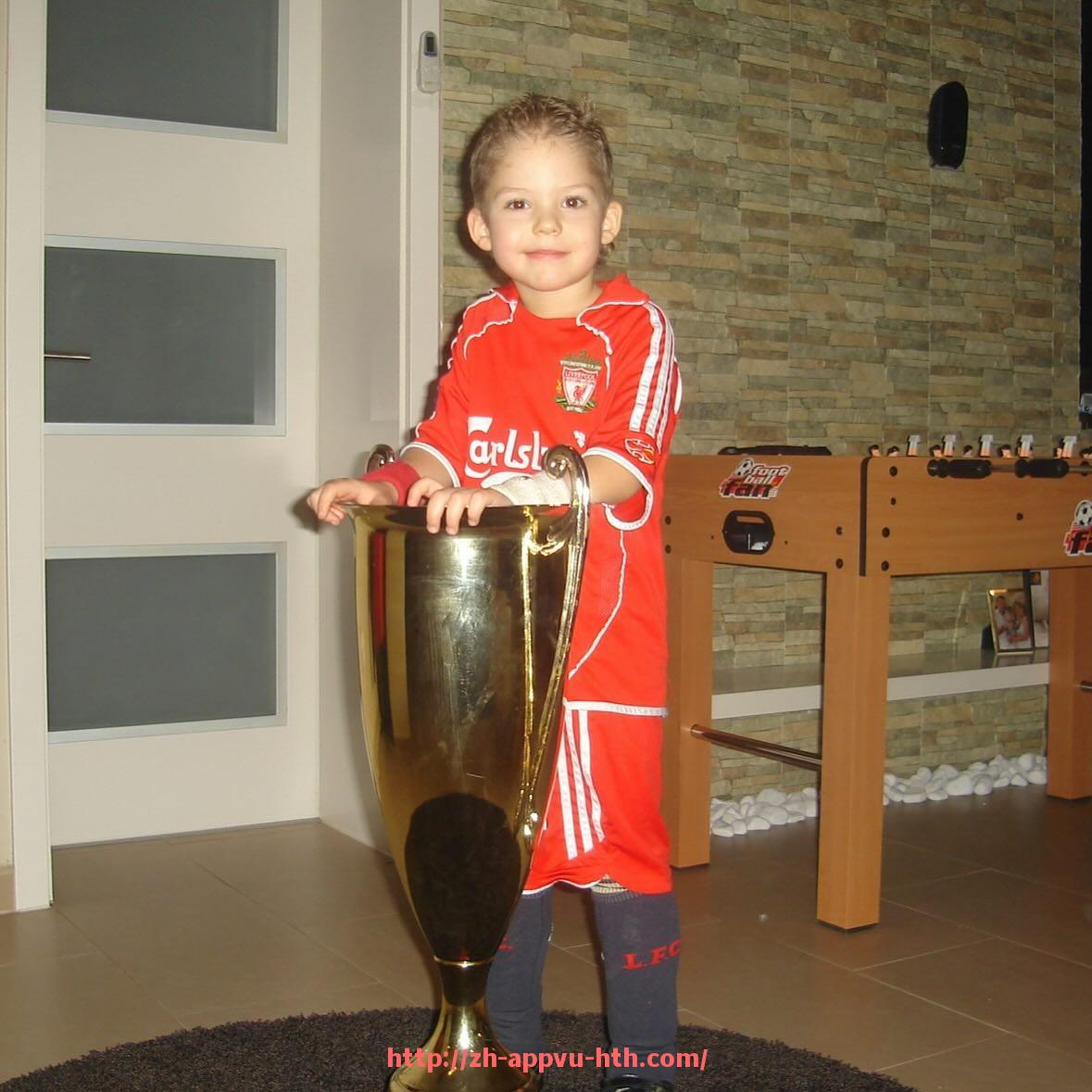 HTH华体会APP下载-英超球队年度收入结构及商业模式分析