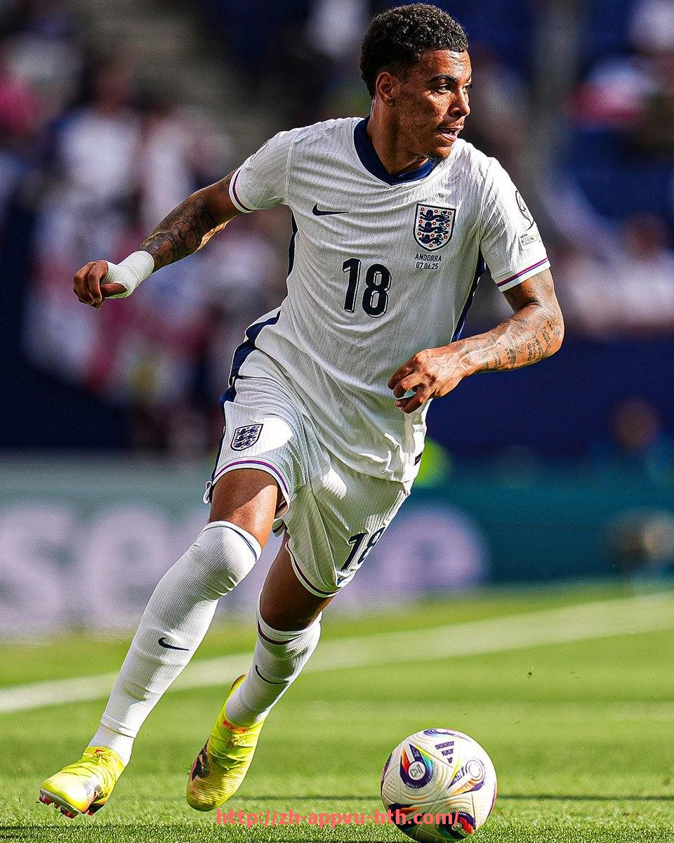 HTH华体会APP下载-2025年世俱杯中伤退球员名单详细统计与事件回顾